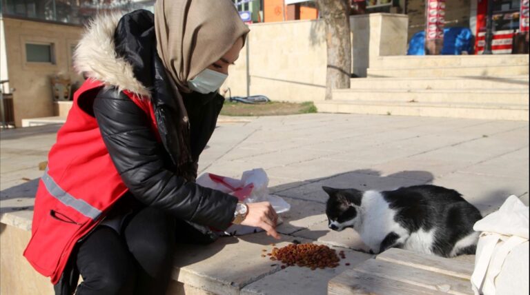 Sosyal medyada paylaşılan yanlış bilgi görseli
